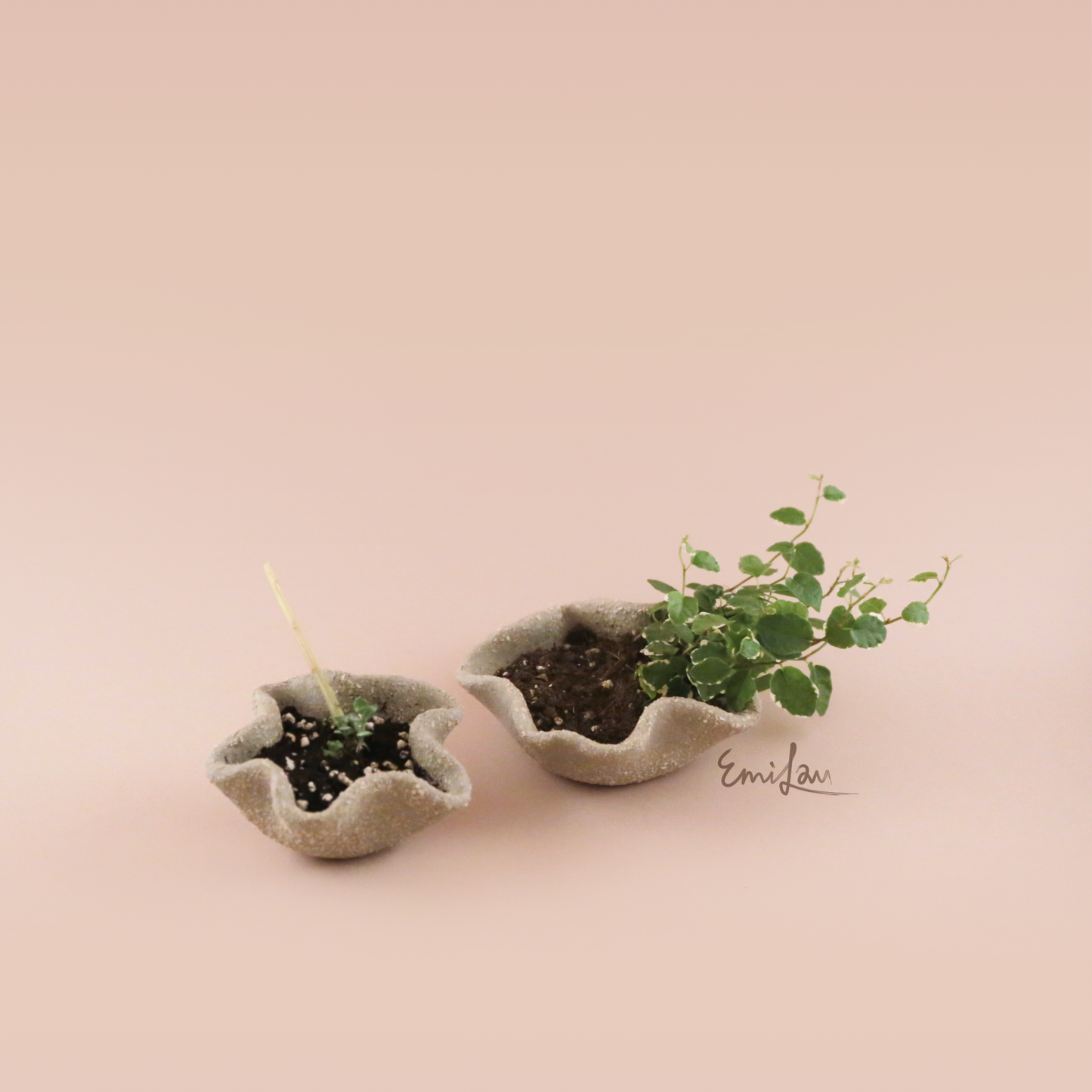 Bo • Grey Wavy Planters
