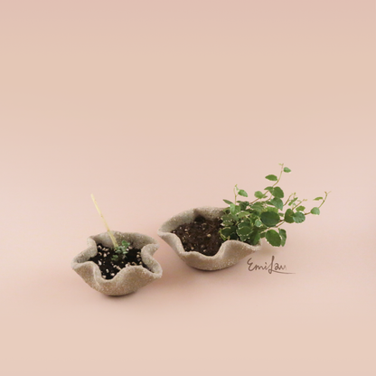 Bo • Grey Wavy Planters