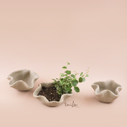 Bo • Grey Wavy Planters