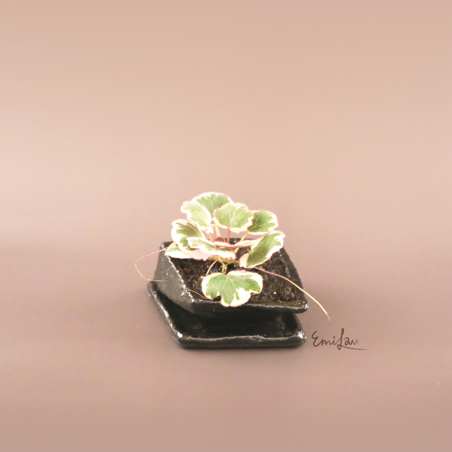 Kuro • Geometric Planters