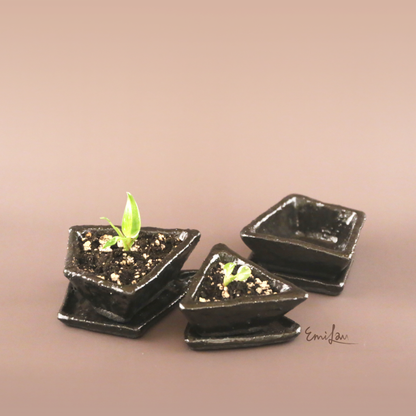 Kuro • Geometric Planters