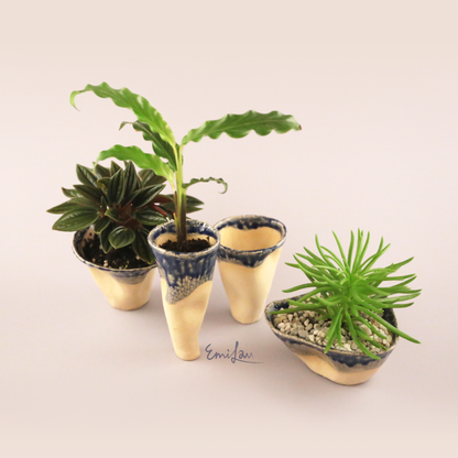 Noa • Curvy Clay Planters