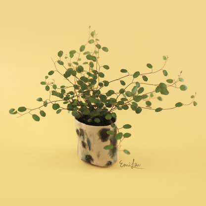 Ora • Flowing Glazed Planters