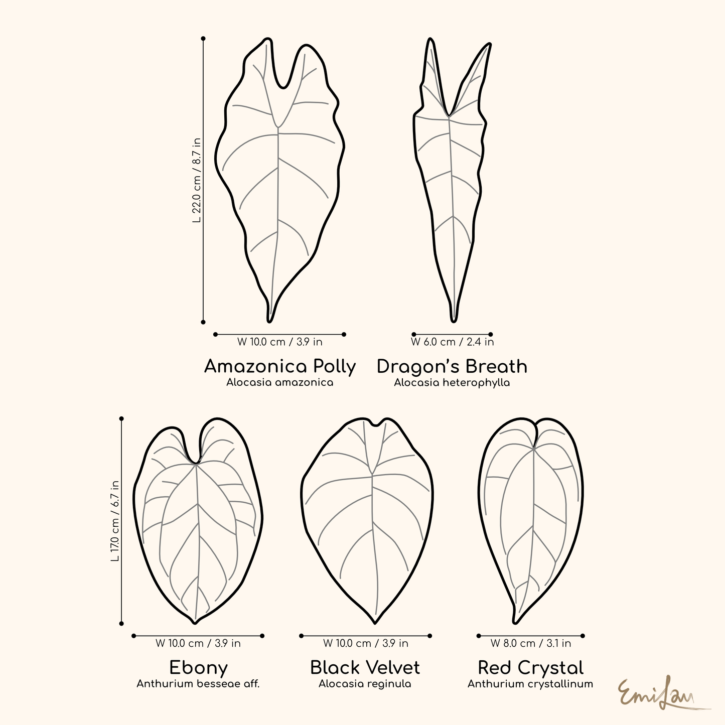 Yezi • Catch-All Plates